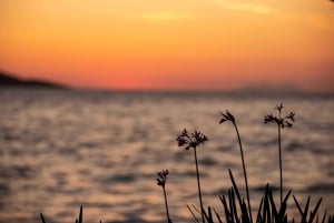 Cavtat/Mlini: Luxury Sunset Cruise w/ Cold Platter & Wine