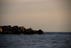 Cavtat/Mlini: Luxury Sunset Cruise w/ Cold Platter & Wine