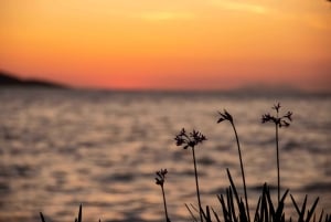 Cavtat/Mlini: Luksusowy rejs o zachodzie słońca z zimnymi przekąskami i winem