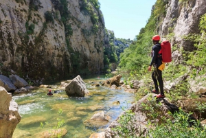 Från Split eller Zadvarje: 'Canyoning' vid Cetina-floden