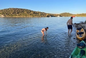 Isola di Čiovo: tour in kayak al tramonto con vino