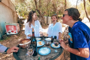Coastal Vineyards: A Dream Wine Tour to Elaphiti Islands