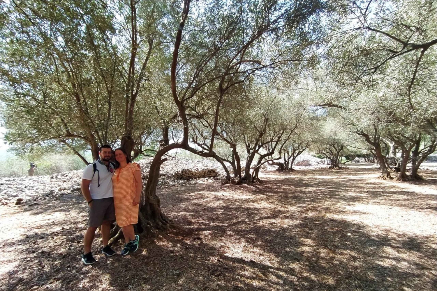 Cres: Excursão a pé com degustações de azeite de oliva