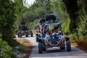 Korcula: wycieczka buggy z degustacją lokalnego jedzenia i wina