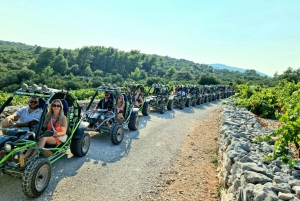 Korcula: wycieczka buggy z degustacją lokalnego jedzenia i wina