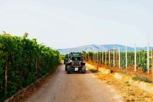 Korcula: wycieczka buggy z degustacją lokalnego jedzenia i wina