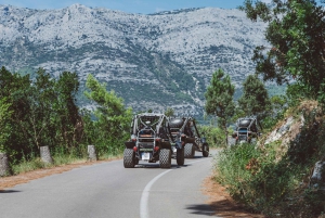 Korcula: wycieczka buggy z degustacją lokalnego jedzenia i wina