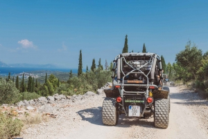 Korcula: wycieczka buggy z degustacją lokalnego jedzenia i wina