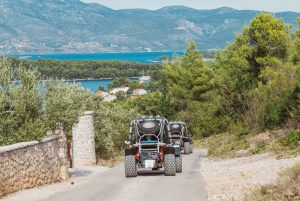 Korcula Buggy Tour Including our Local Food and Wine Tasting