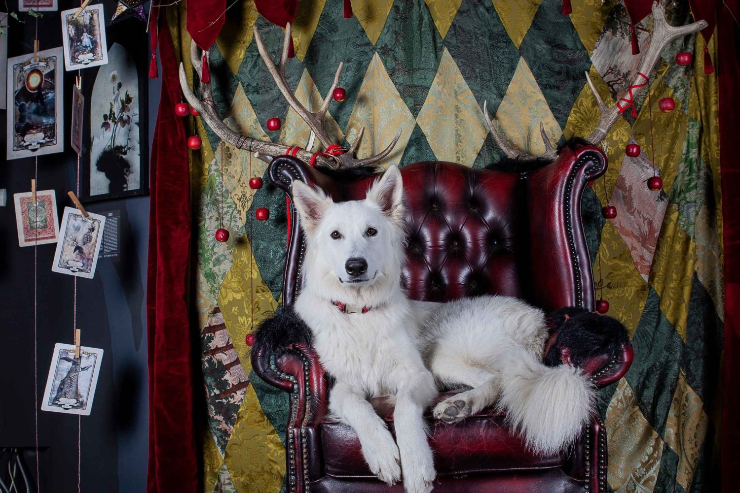 Croatia: Museum of Lost Tales