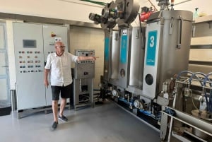 Zadar: Landskap, olja, vin, mat, historia. Kroatien på en dag