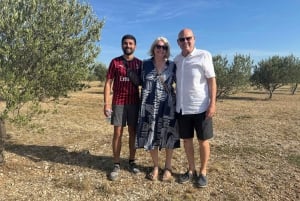 Zadar: Landskap, olja, vin, mat, historia. Kroatien på en dag