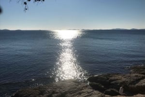 Zadar: Landskap, olja, vin, mat, historia. Kroatien på en dag