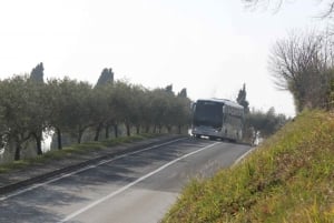 Прямой автобус из Пулы в Ровинь или наоборот.