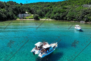 Découvrez la véritable ambiance de la Croatie sur un bateau à moteur avec du vin