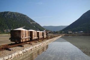 Oplev skønheden i Korčula og Ston: En privat heldagstur