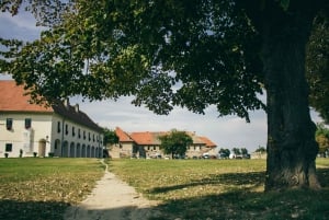 Discover East Croatia: Wine, Nature & Heritage Private Tour