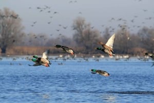 Discover East Croatia: Wine, Nature & Heritage Private Tour