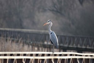 Discover East Croatia: Wine, Nature & Heritage Private Tour