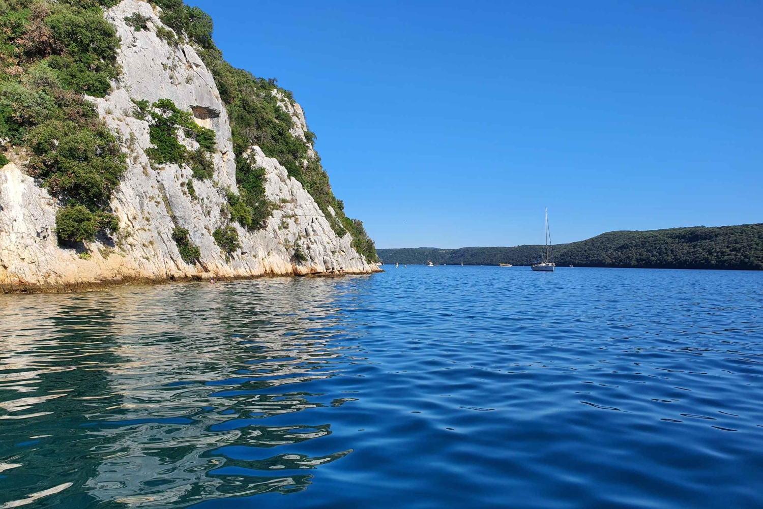 Delfinsafari hver kveld