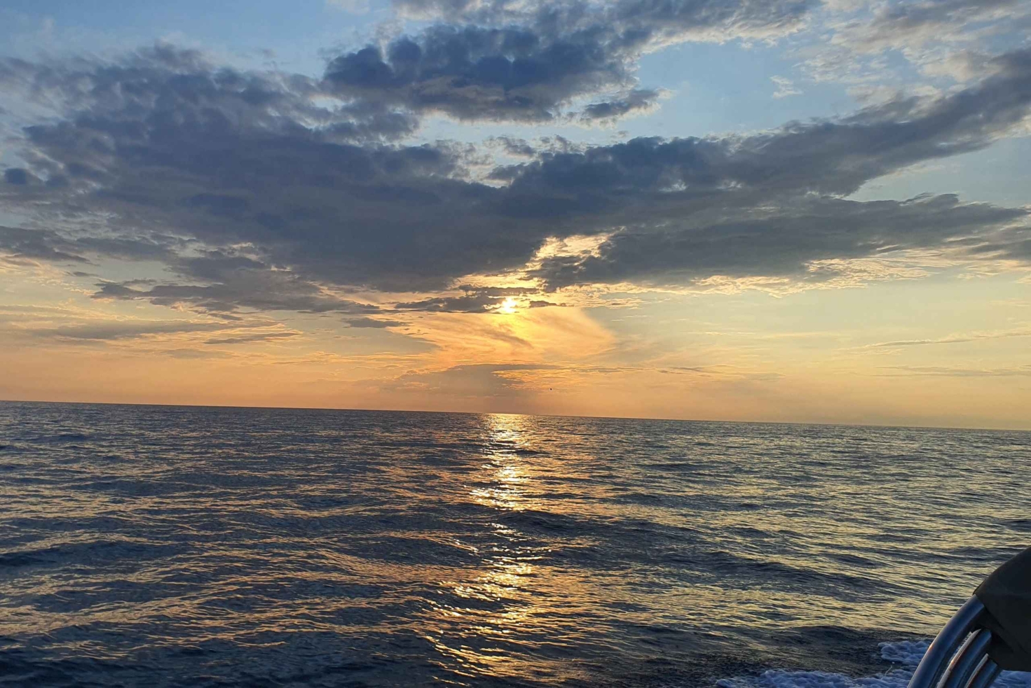 Delfinsafari hver kveld