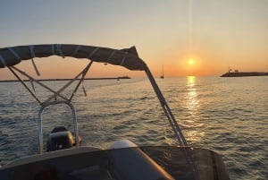 Safari con i delfini ogni sera