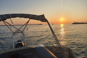 Delfinsafari hver kveld