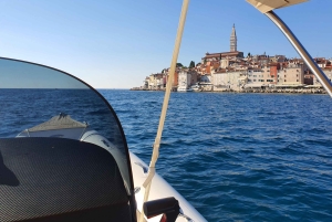 Delfinsafari hver kveld