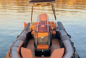 Delfinsafari hver kveld