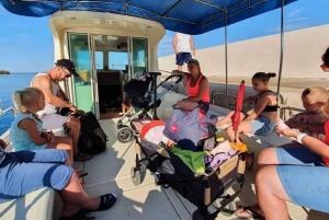 ドルフィンツアー 2時間