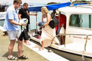 ドルフィンツアー 2時間