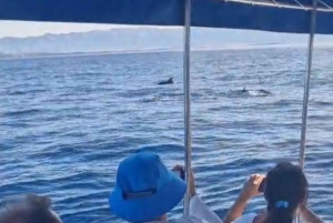 ドルフィンツアー 2時間