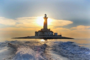 Delfiinikierros – 85 % todennäköisyys – Kaikki sisältyy hintaan: juomat + illallinen