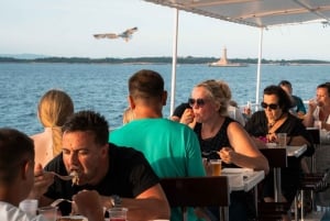 Delfiinikierros – 85 % todennäköisyys – Kaikki sisältyy hintaan: juomat + illallinen