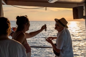 Delfiinikierros – 85 % todennäköisyys – Kaikki sisältyy hintaan: juomat + illallinen