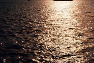 Delfiinikierros – 85 % todennäköisyys – Kaikki sisältyy hintaan: juomat + illallinen