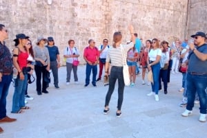 Dubrovnik: visita guiada a pie de 1,5 horas por el casco antiguo