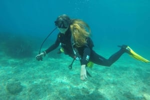 ドゥブロヴニク：1日スキューバダイビング体験コース