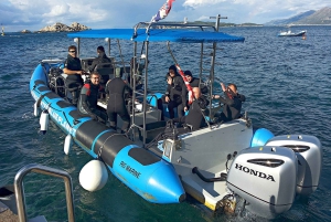 Dubrovnik: Duikpakket van 1 dag