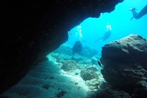 Dubrovnik: 1-Day Diving Package