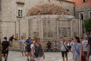 Dubrovnik: Crucero Panorámico de 2 Horas y Visita Histórica a Pie