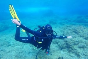 Fra Dubrovnik: 2-timers prøvedykk for usertifiserte dykkere