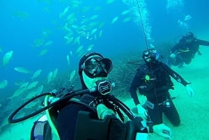 Dubrovnikin 2-tuntinen sertifioimaton sukeltajien perehdytyssukellus