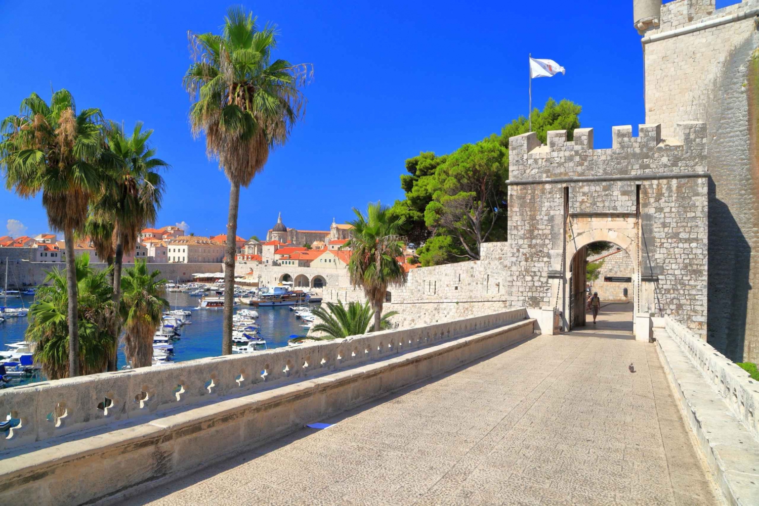 Dubrovnik: 2-Hour Walking Tour