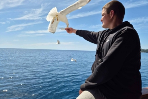 Dubrownik: 3 wyspy – wycieczka łodzią z napojami (FR, ES, EN)