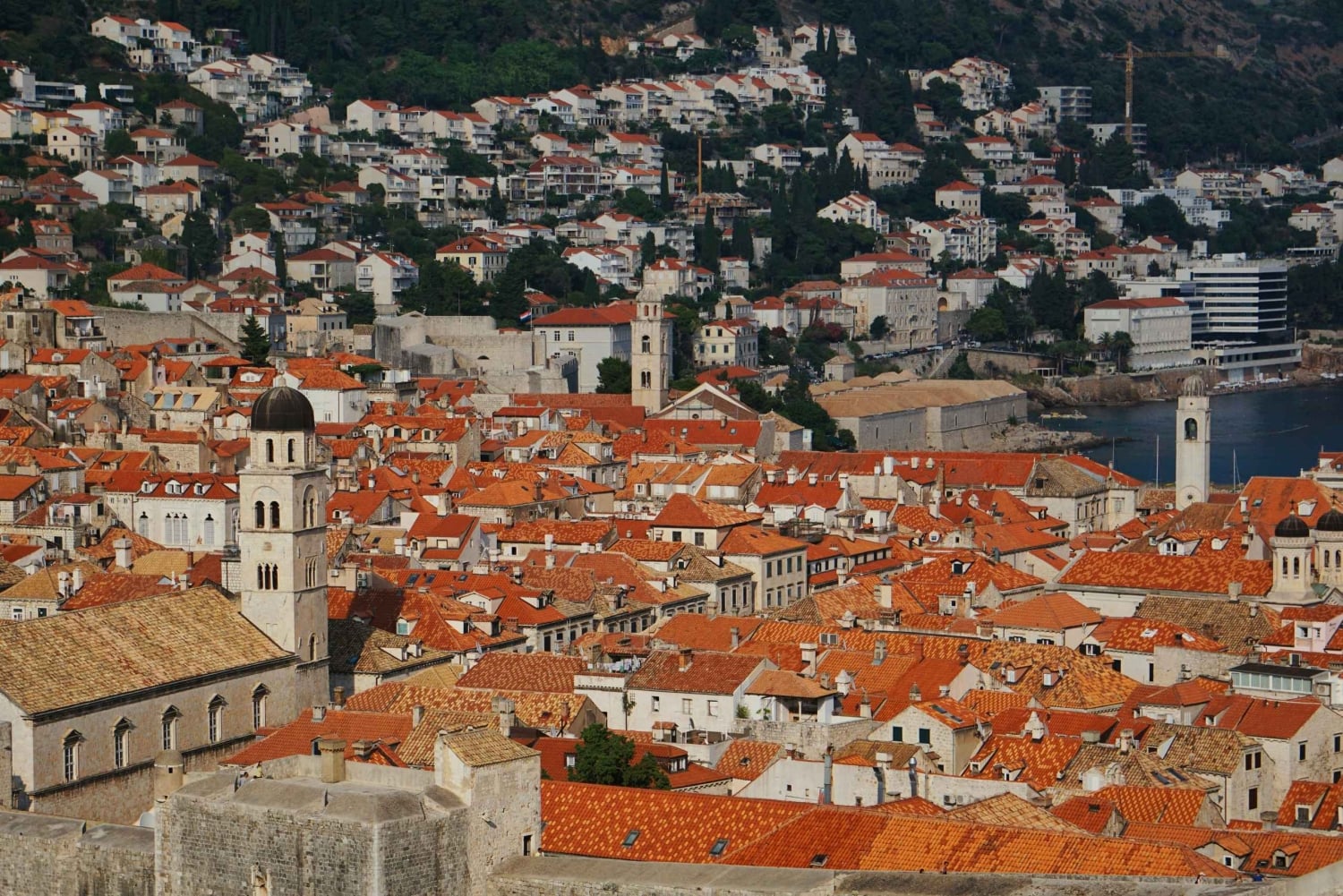 Dubrovnik: All-Access Pass + ubegrenset offentlig transport