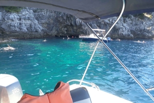 Dubrovnik: tour en barco privado por islas y cuevas con todo incluido