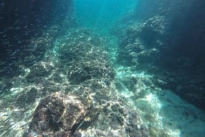 Dubrovnik: passeio de lancha pela Gruta Azul, Gruta Verde e Praia de Sunj