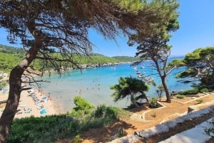 Dubrovnik: Blue Cave & Sunj Beach Boat Tour with Drinks