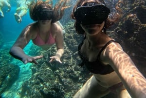 Dubrovnik: excursão de barco particular pelas cavernas azuis e verdes com bebidas